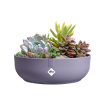 jazz bowl 28cm lavendel lila